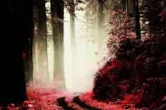 ����Й�(qu��n)��ƽ���O(sh��)Ӌ(j��)�߼�(j��)��Ӗ(x��n)