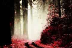 ���ƽ���O(sh��)Ӌ��Ӗ(x��n)����Ƭ�{(di��o)������ɫ�{(di��o)2