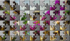 ���ƽ���O(sh��)Ӌ��Ӗ(x��n)��PS�����挍ƴ�DЧ��2